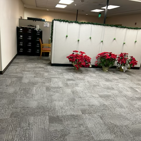 Commercial Hospitality Installation